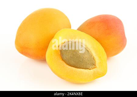 Ganze und geschnittene Aprikosen mit sichtbarem Kernkern isoliert auf weißem Hintergrund Stockfoto