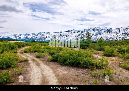 Unbefestigte Straße führt westlich der Alsek Range; Tatshenshini Alsek Provincial Park vom Haines Highway; British Columbia; Kanada Stockfoto