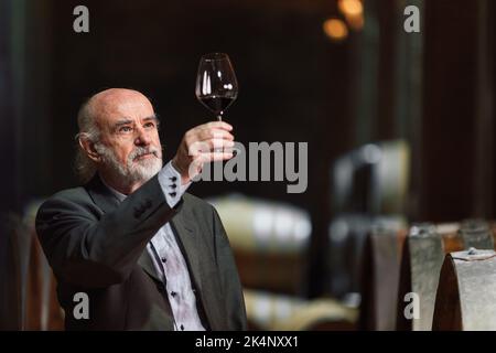 Älterer kaukasischer Graubart-Mann in einem Weinkeller, der einen Weißwein verkostet, indem er ihn im Glas wirbelt, riecht und nippt Stockfoto