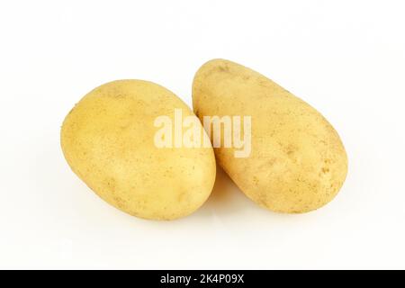 Zwei rohe Bio-Kartoffeln isoliert auf weißem Hintergrund Stockfoto