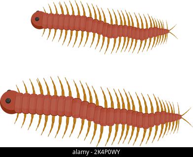 Zwei Tausendfüßler, Illustration, Vektor auf weißem Hintergrund. Stock Vektor