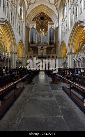 Blick auf den Chor und die Orgel in der Kathedrale von Wells, Wells, Somerset, Großbritannien Stockfoto