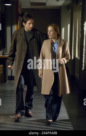 DAVID DUCHOVNY, Gillian Anderson, der X-Dateien: Ich möchte glauben, 2008 Stockfoto