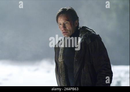 DAVID DUCHOVNY, der X-Dateien: Ich möchte glauben, 2008 Stockfoto