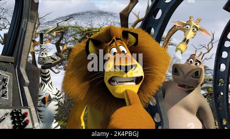 MARTY, ALEX, MELMAN, GLORIA, MADAGASCAR: ESCAPE 2 Africa, 2008 Stockfoto