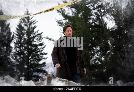 DAVID DUCHOVNY, der X-Dateien: Ich möchte glauben, 2008 Stockfoto