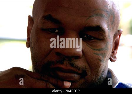 MIKE TYSON, Tyson, 2008 Stockfoto