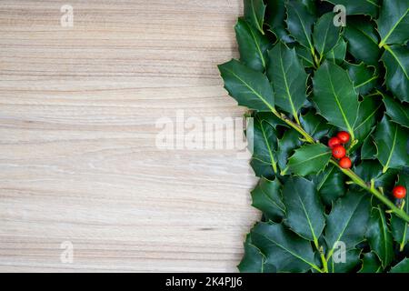 Kreatives Layout aus gemeiner Stechpalme (Ilex aquifolium), Blättern und Ästen und frischen Früchten im Herbst auf dem Tisch mit neutralem Raum. Flach liegend. Stockfoto