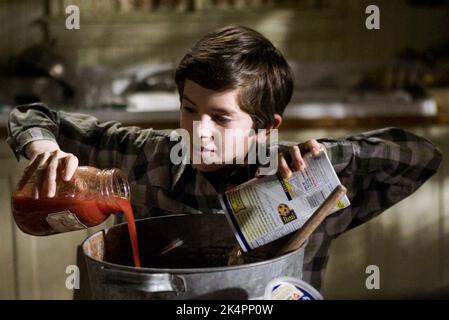 FREDDIE HIGHMORE, "Die Geheimnisse der Spiderwicks", 2008 Stockfoto