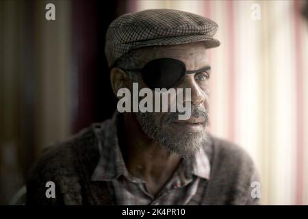 DANNY GLOVER, Blindheit, 2008 Stockfoto