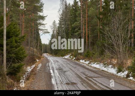 Straße mit schmelzendem Schneeschlamm im Wald Stockfoto