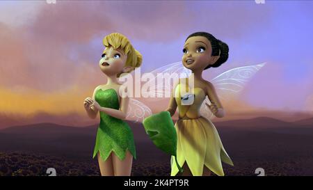 BELL, IRIDESSA, TINKER BELL, 2008 Stockfoto