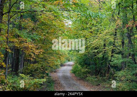 Eine Waldstraße in der Wildnis in den Adirondack Mountains, NY, USA, im Frühherbst, wo sich die Blätter färben Stockfoto