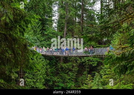 Touristen wandern auf der Capilano Suspension Bridge inmitten des Kiefernwaldes, Vancouver, British Columbia, Kanada. Stockfoto