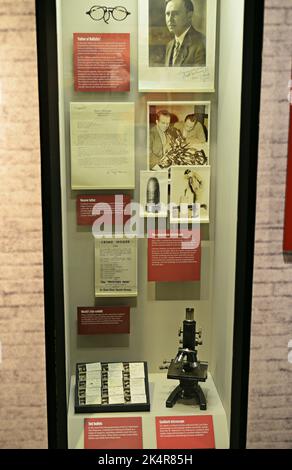 The Mob Museum, Downtown District, Las Vegas, Nevada, Vereinigte Staaten von Amerika Stockfoto