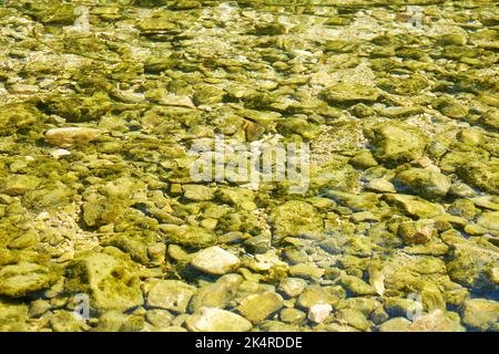 Kleine Kieselsteine unter dem Wasser im Fluss. Abstrakte Natur Hintergründe Stockfoto