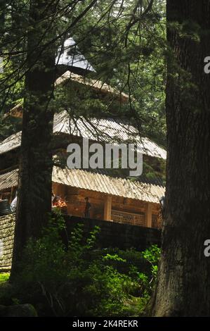 Manali, Himachal Pradesh, Indien - 07 16 2022: Blick auf den Hadimba Devi-Tempel aus der Mitte von Zedernbäumen Stockfoto