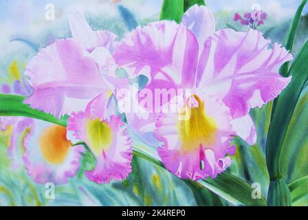 Aquarell Malerei original realistische rosa Farbe der Orchidee Blume Schönheit im Frühjahr Sommer Saison und Emotion abstrakten Hintergrund. Handbemalt. Stockfoto