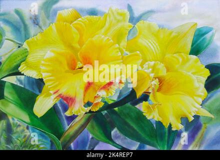 Aquarell Malerei original realistische gelbe Farbe der Orchidee Blume Schönheit im Frühjahr Sommer Saison und Emotion abstrakten Hintergrund. Handbemalt. Stockfoto