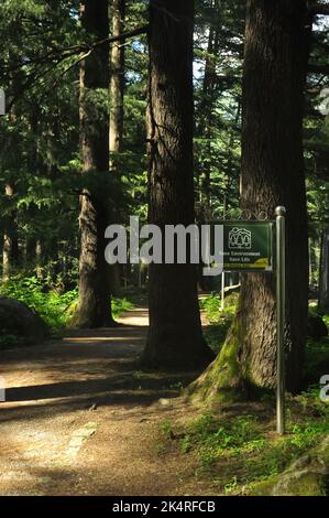 Save Environment Save Life Schild im Van Vihar Nationalpark in Manali, Himachal Pradesh, Indien Stockfoto