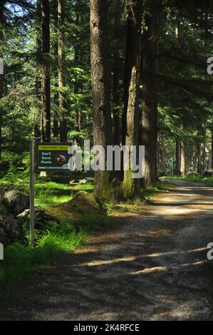 Schadet den Pflanzen nicht an der Schildertafel im Van Vihar Nationalpark in Manali, Himachal Pradesh, Indien Stockfoto