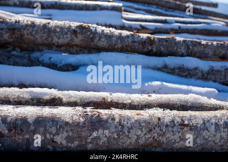 Schneebedeckter Stapel von Kastanienstämmen. Bergforstkonzept Stockfoto