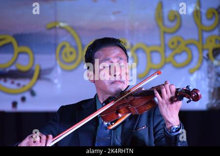 Beste Leistung des Geigers Stockfoto