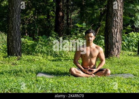 hispanischer und lateinischer Mann, meditiert mitten in einem Wald, empfängt Sonnenstrahlen, braune Haut, mexiko Stockfoto
