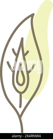 Pfauenfeder, Illustration, Vektor auf weißem Hintergrund. Stock Vektor