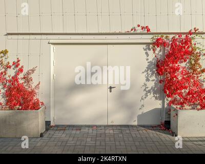 Große zweiblättrige Eisentür, Tore an der Fassade eines modernen Gebäudes mit städtischen Gartenelementen am sonnigen Herbsttag Stockfoto