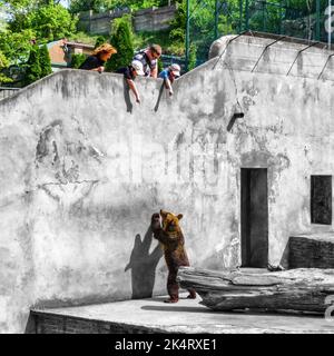 Bojnice, Slowakei - 1. Mai 2009: Familie steht im Zoo und schaut auf Braunbär im Käfig Stockfoto