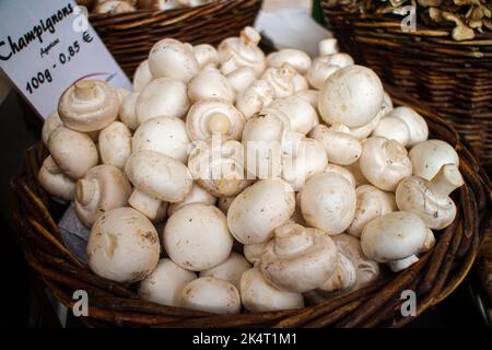 Neckargemuend, Deutschland 25. September 2022: Frische Agaricus-Pilze (Agaricus campestris) in Körben auf einem Herbstmarkt Stockfoto