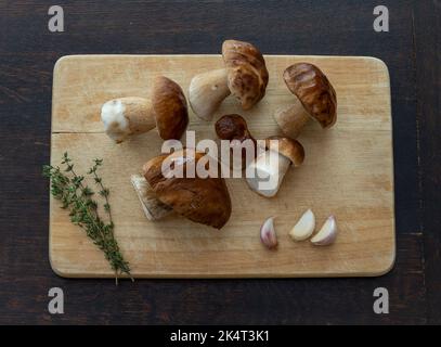 Frisch geerntete Steinpilze mit Rosmarin und Knoblauch auf Holzbrett. Draufsicht. Stockfoto