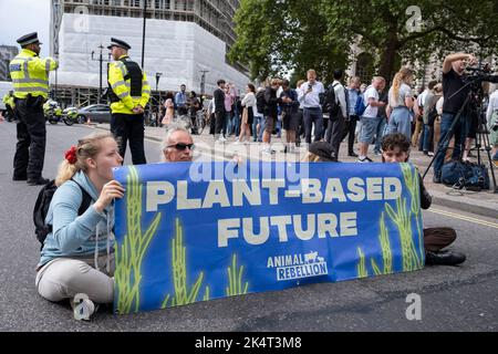 Demonstranten der Gruppe Animal Rebellion vom Aussterben blockieren am 5.. September 2022 in London, Großbritannien, eine Straße in Westminster, um eine pflanzenbasierte Zukunft zu fordern. Extinction Rebellion ist eine 2018 gestartete Gruppe zum Klimawandel, die eine große Gruppe von Menschen gewonnen hat, die sich friedlichen Protesten verschrieben haben. Diese Proteste zeigen, dass die Regierung nicht genug tut, um katastrophale Klimaänderungen zu vermeiden und die Regierung zu fordern, radikale Maßnahmen zur Rettung des Planeten zu ergreifen. Stockfoto