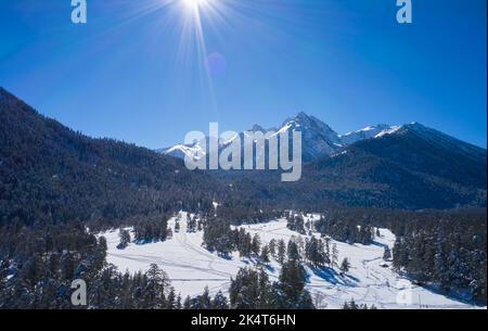 Winter Berglandschaft mit verschneiten Tannen. Stockfoto