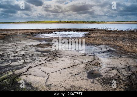 Rückläufige Küstenlinie und ausgetrocknete Erde, die durch fallende Wasserstände verursacht wurden, die durch schwere Dürrebedingungen im Colliford Lake Reservoir auf Bodmin Moor in verursacht wurden Stockfoto