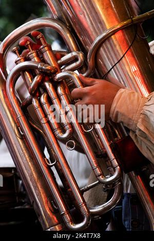 Ein Musiker aus der Old Time Seemanns spielt eine Tuba und tritt im Trebah Garden Amphitheater in Cornwall in Großbritannien auf. Stockfoto