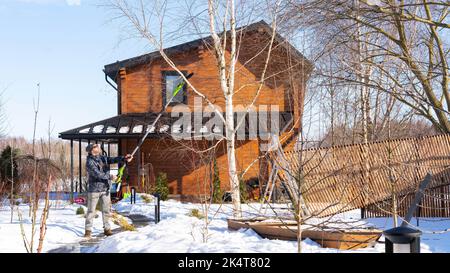 An einem sonnigen Wintertag schneidet ein Mann mit einer speziellen elektrischen Gartensäge mit Teleskopstange Äste an einem Baum. Landschaftsbau und Gartenpflege im wint Stockfoto