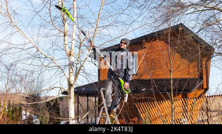 Ein Gärtner schneidet einen Baum mit einem elektrischen Bürstenschneider. Ein Mann steht auf einer Stehleiter und benutzt einen elektrischen Kettenscheren mit einem Teleskop Stockfoto