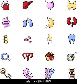 Menschliche Organe, Illustration, Vektor auf weißem Hintergrund. Stock Vektor