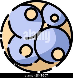 Weibliche Zigote, Illustration, Vektor auf weißem Hintergrund. Stock Vektor