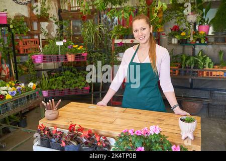 Lächelnde junge Frau Verkäufer oder Floristin in kleinen Baumschule Blumenladen Stockfoto