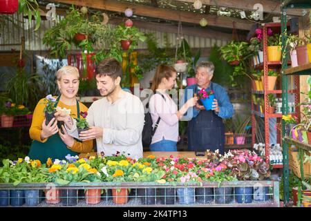 Gärtner und Blumenhändler beraten Kunden im Blumenladen oder Kindergarten Stockfoto