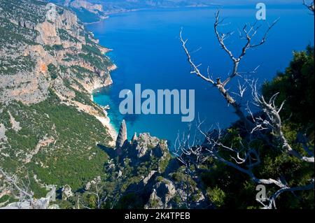 Punta Caroddi e Cala Goloritzè, Veduta da Salinas, Baunei, Ogliastra, Golfo di Orosei, Sardinien, Italien Stockfoto