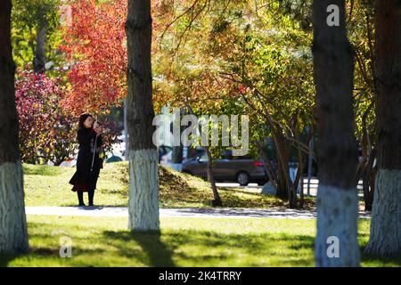 Harbin, Chinas Provinz Heilongjiang. 4. Oktober 2022. Eine Frau macht Fotos im Xiangjiang Park in Harbin, nordöstlich der Provinz Heilongjiang, 4. Oktober 2022. Quelle: Wang Jianwei/Xinhua/Alamy Live News Stockfoto