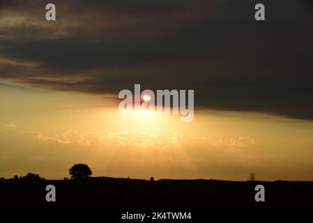 Sonnenuntergang in Pampas, Provinz La Pampa, Patagonien, Argentinien. Stockfoto