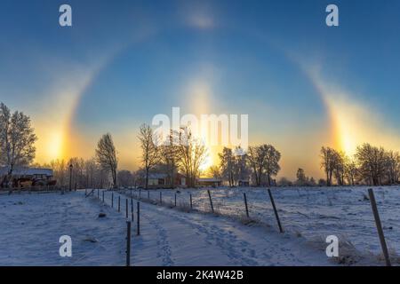 Sonnenschein mit Sonnenhunden in einer winterlichen Landschaft Stockfoto