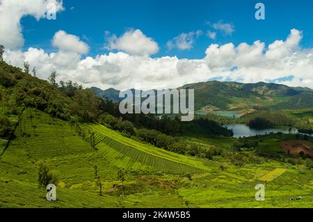 Hohe Berge, Teeplantagen, Fluss, blauer und weißer Himmel, Spiegelungen im Wasser, überall ist das Geschenk der Natur an Grün der Weg Stockfoto