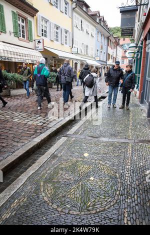 Baechle (kleiner offener Kanal) in der Schusterstraße in der Altstadt, Freiburg im Breisgau, Baden-Württemberg, Deutschland. Baechle in der Schusterstrass Stockfoto