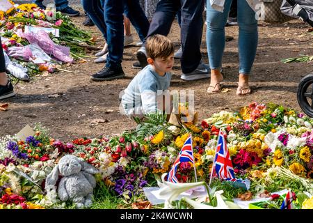 A Little Boy betrachtet die Floral Tributes für Queen Elizabeth II im Floral Tribute Garden in Green Park, London, Großbritannien Stockfoto